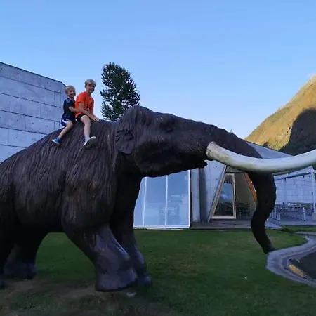 Lodge Ski- And Mountain *